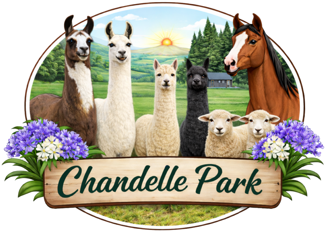 Chandelle Park Farm Stay logo